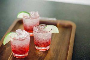 opal ice maker opal ice maker